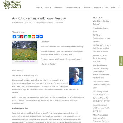 Ask Ruth: Planting a Wildflower Meadow| Organic Growers School | Organic Gardening