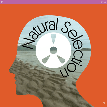 Cover Story: Natural Selection