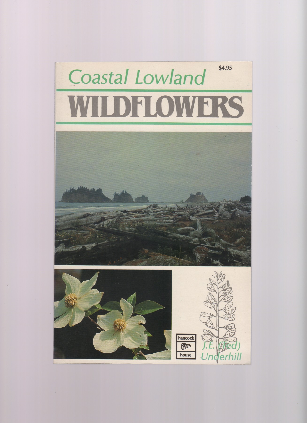 Coastal Lowland Wildflowers
