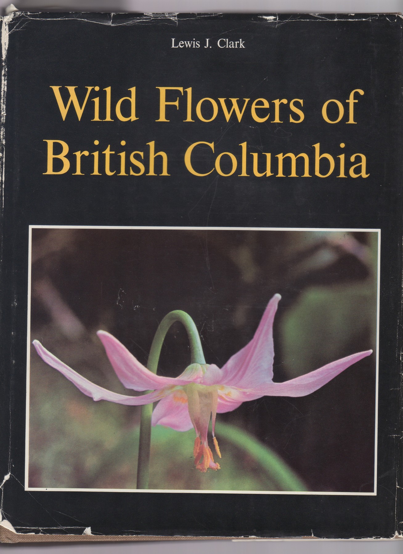 Wild Flowers of British Columbia