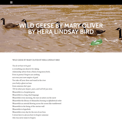 WILD GEESE BY MARY OLIVER BY HERA LINDSAY BIRD