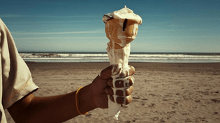 ice-cream.jpg