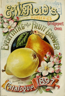 catalogue-1897-_-everything-for-the-fruit-grower-_-reid-s-nurseries-_-free-download-borrow-and-streaming-_-internet-archive....