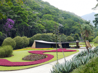 burle-marx-cavanellas.jpg