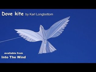 Dove Kite by Karl Longbottom, available from Into The Wind