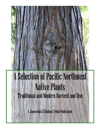 A Selection of Pacific Northwest Native Plants: Traditional and Modern Harvest and Use
