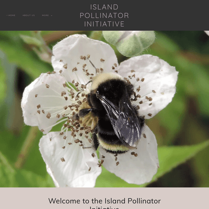 Island Pollinator Initiative