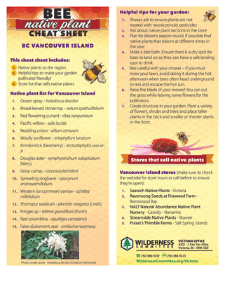 Bee Native Plant Cheat Sheet - Vancouver Island