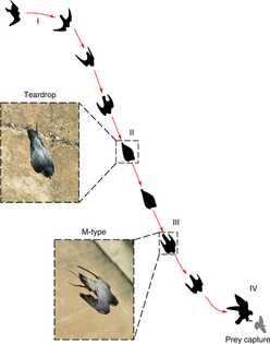 42003_2018_29_fig1_html.jpg