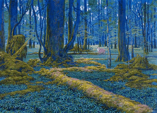 Into the depths of the sacred forest, Hiro Isono