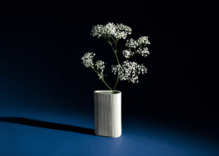 large_020bbbe646b970cfffcec2f910032cc3.jpg
