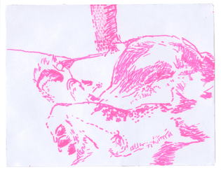 Dog-Drawings-2-.jpg