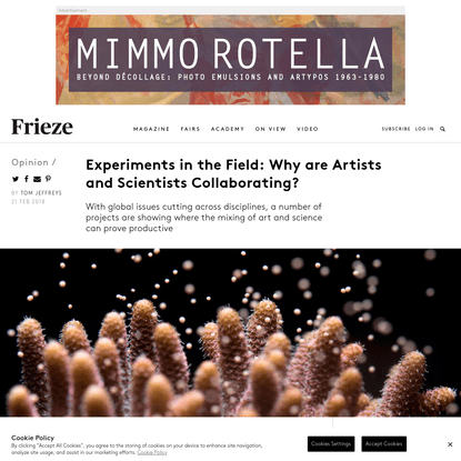 Experiments in the Field: Why are Artists and Scientists Collaborating?