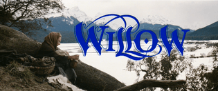willow1.png