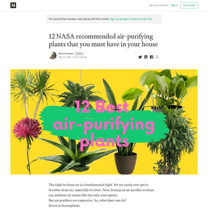 12 NASA recommended air-purifying plants that you must have in your house