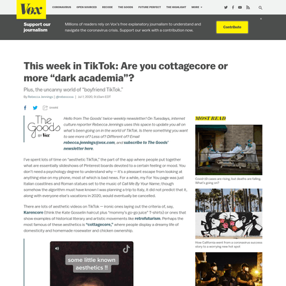 This week in TikTok: Are you cottagecore or more "dark academia"?