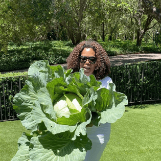 oprah-winfrey-video-her-gigantic-cabbage-on-instagram.jpg