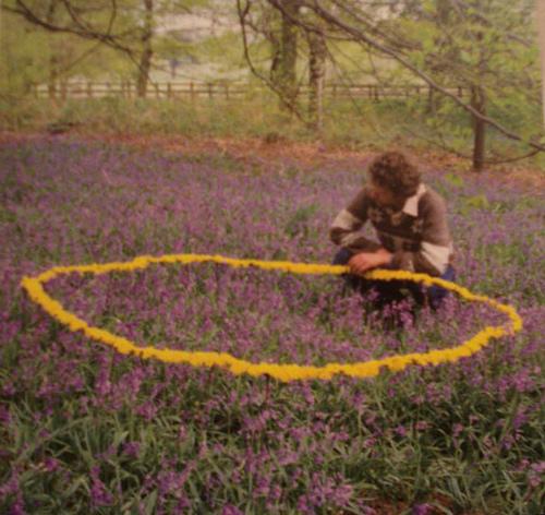 Andy Goldsworthy