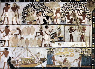 egyptian-winemaking-1500bce.jpg