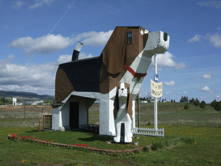 toby_and_sweet_willie_dog_bark_park_inn.jpg