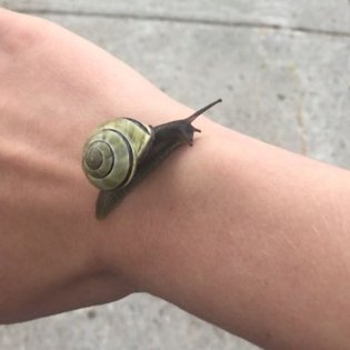 new wrist watch slowing down time