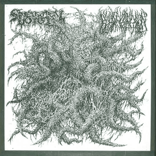 Spectral Voice / Blood Incantation — Split EP