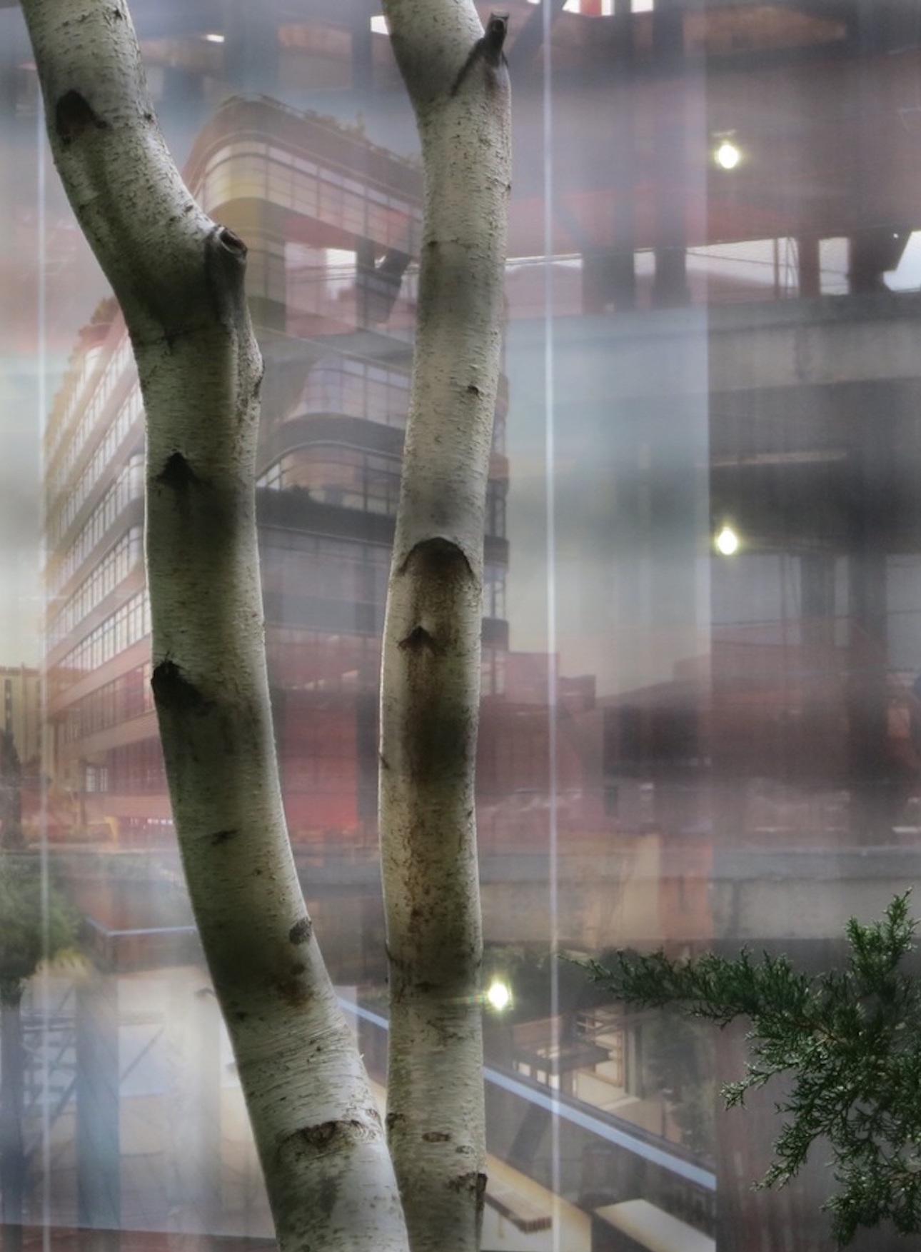 Peter Scott, *Arcadias (High Line Dream)*, 2014. Digital image, dimensions variable.  Presented as part of *Arcadias*, 2020. Site-specific installation of nine photographs printed on translucent vinyl, each approximately 60 × 105 inches. Courtesy the artist. 
 