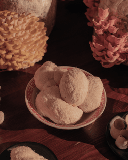 Lion's Mane Mushrooms