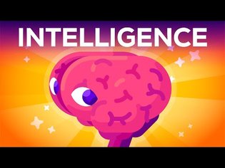 What Is Intelligence? Where Does it Begin?