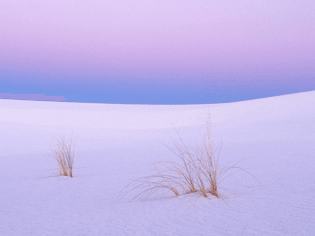 Tranquility-White-Sands-New-Mexico.jpg