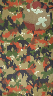 800px-alpenflage.jpg