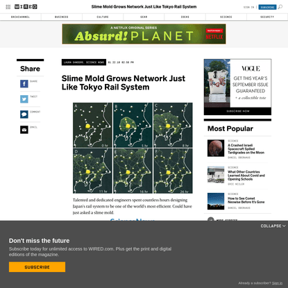 Slime Mold Grows Network Just Like Tokyo Rail System