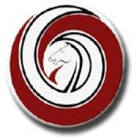 Logo_Arezzo_80.jpg