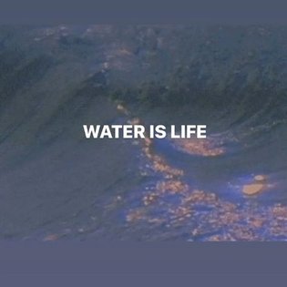 ARTIFACT #015 // WATER IS LIFE //