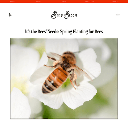 It's the Bees' Needs: Spring Planting for Bees - Bee &amp; Bloom