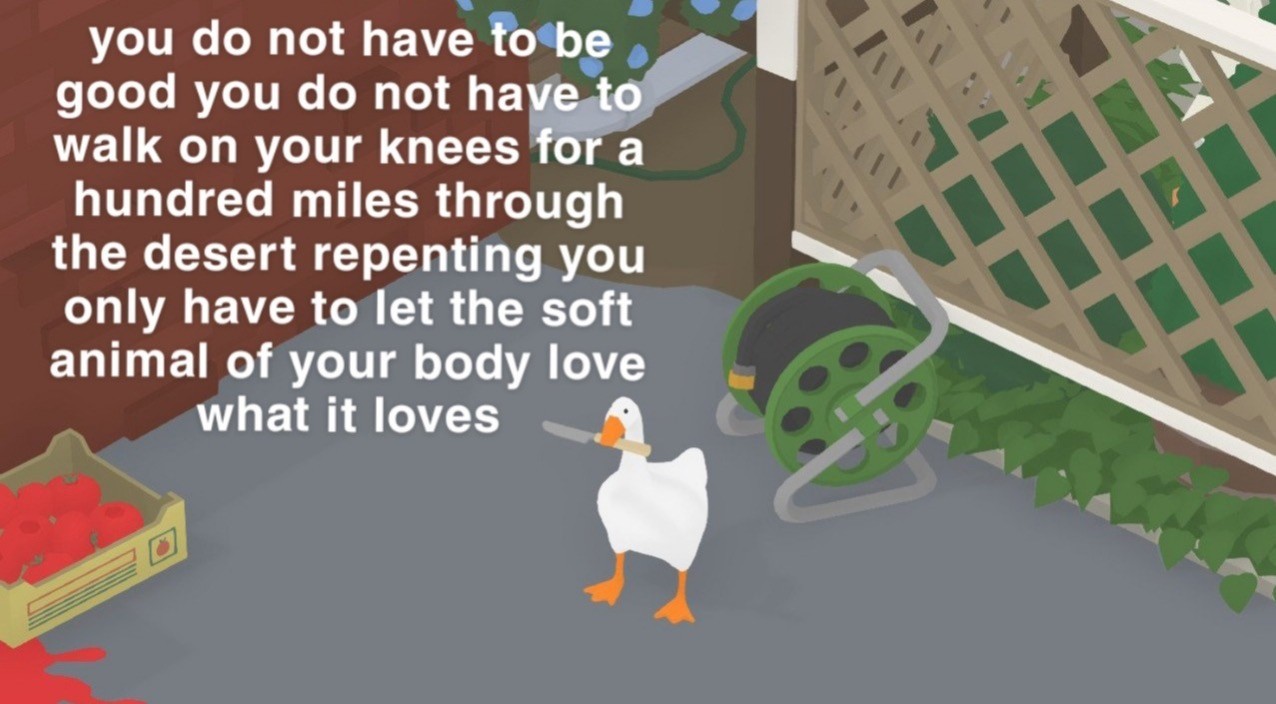 untitled goose poem - mary oliver 