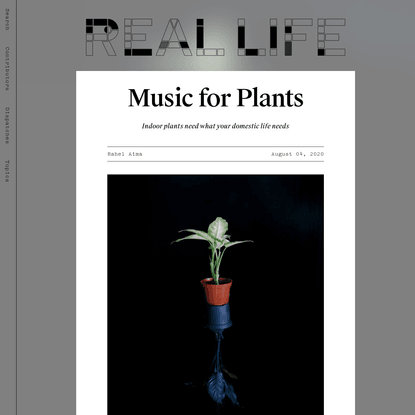 Music for Plants - Real Life
