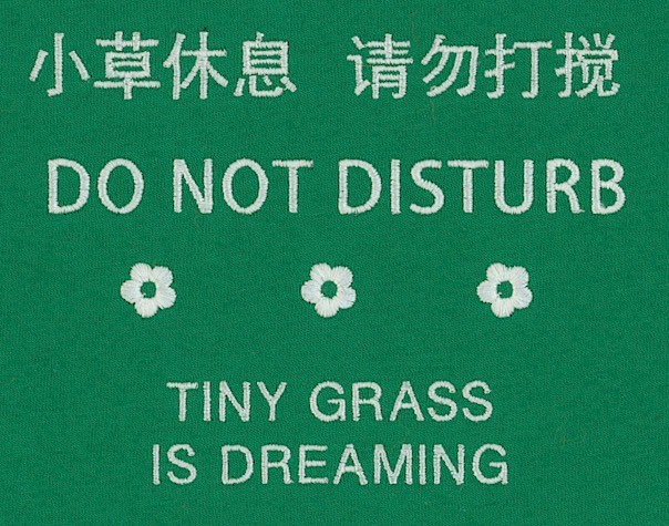 tiny grass is dreaming