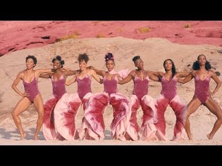Janelle Monáe - PYNK [Official Music Video]