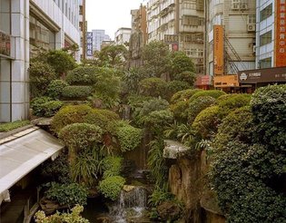 An Urban Jungle, Taipei, Taiwan. Captured by Andreas Mass. #taipei #taiwan #urban #jungle #plants #houseplants #botanical #n...