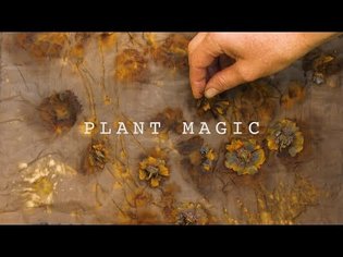 Plant Magic - Eco-Printing with Jennifer Johnson