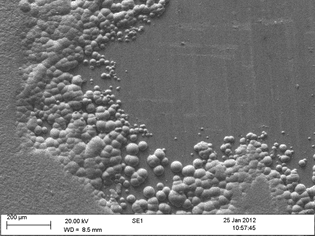 lossy-page1-1024px-bubbles_of_nickel_metal_on_a_copper_surface.tif.jpg