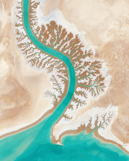 “Dendritic drainage systems are seen around the Shadegan Lagoon by Musa Bay in Iran. The word ‘dendritic’ refers to the pools’ resemblance to the branches of a tree, and this pattern develops when streams move across relatively flat and uniform rocks, or over a surface that resists erosion.”
