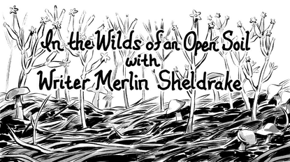 In the Wilds of an Open Soil with Writer Merlin Sheldrake | Wendy Xu
