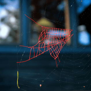 mended-spiderweb.jpg