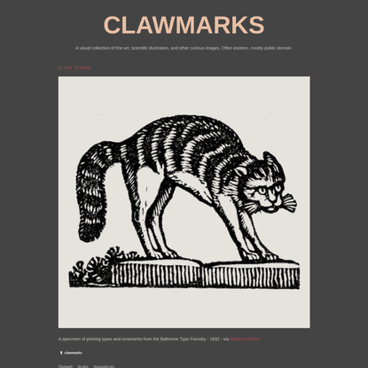 CLAWMARKS