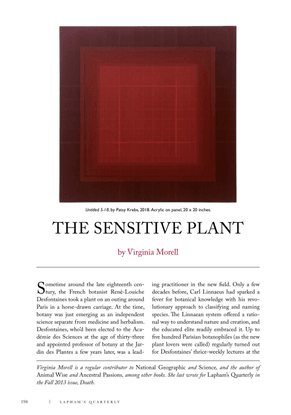 the-sensitive-plant-by-virginia-morell.pdf