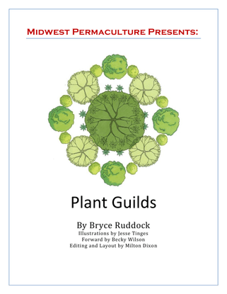 plant-guilds-ebooklet-midwest-permaculture.pdf