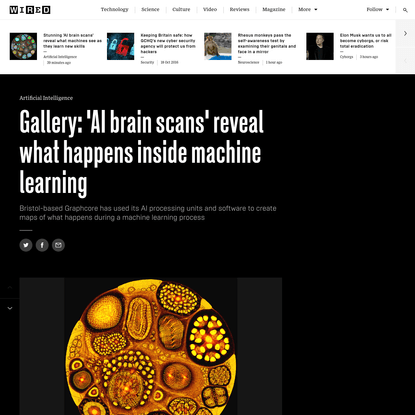 Gallery: 'AI brain scans' reveal what happens inside machine learning