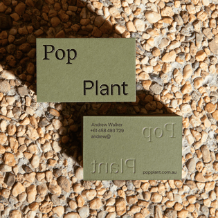 both_pop-plant_4.jpg